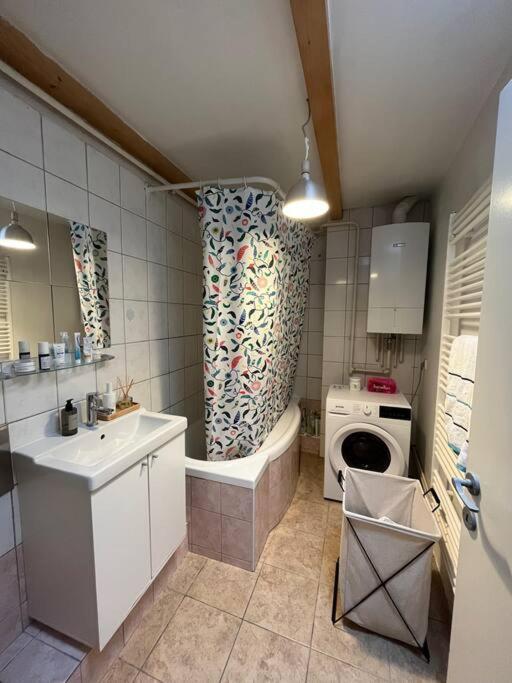 Art / Peaceful / Historical City Center Apartment Zagreb Dış mekan fotoğraf